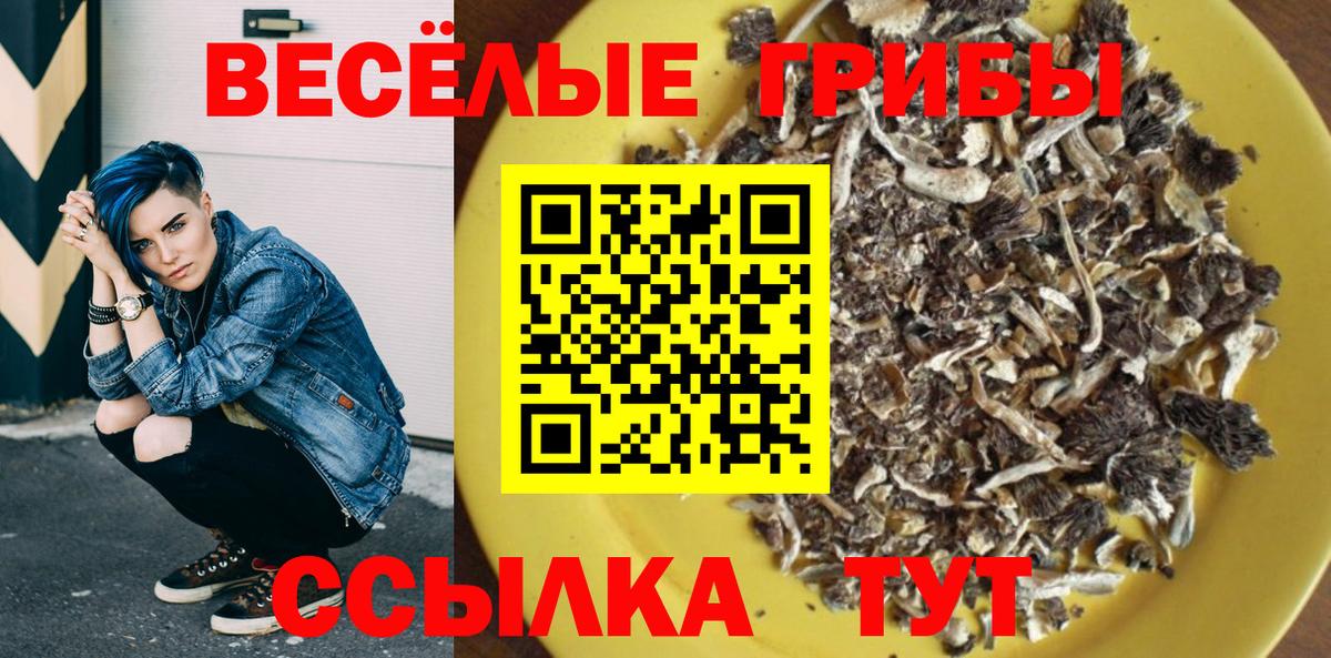 Выкса  Псилоцибиновые грибы Cubensis  Галлюциногенные грибы GOLDEN TEACHER  Вход с VPN 